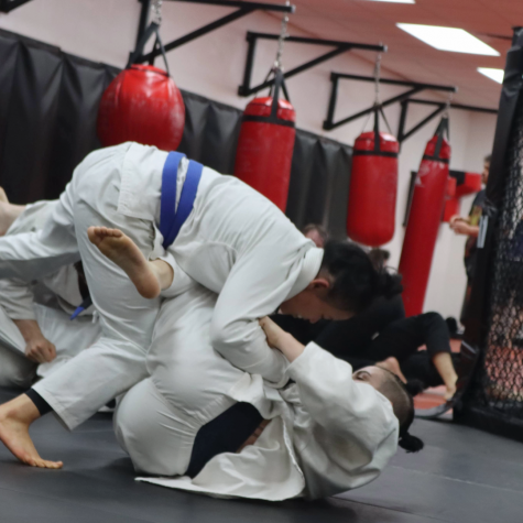 ALL LEVELS - BRAZILIAN JIU-JITSU (BJJ)